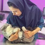 کلینیک دامپزشکی مرکزی(دکتر مریم حیدرلو)