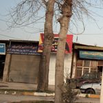 تعمیرگاه صداقت