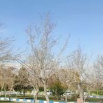 بوستان خلیج فارس