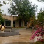شهرداری