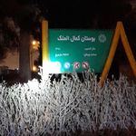سرویس بهداشتی بوستان دهخدا