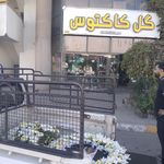 ارکیده