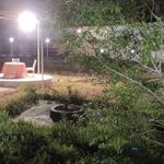 باغسرای نیاوران