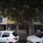 ساختمان گلها