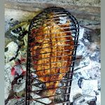 رستوران و اقامتگاه باغ بهشت