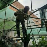 رامین قهرمانی