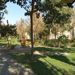 بوستان کاج
