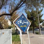 بوستان کاج