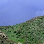 منطقه حفاظت گردیده کوسالان و شاهو