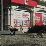 فروشگاه رفاه ارغوان
