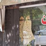 نانوایی لواشی بعثت
