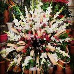 گلفروشی سی تو (ارسال رایگان)