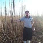 نهالستان پناهی