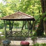 پارک میرزا کوچک خان(پارک شهر)