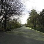 پارک میرزا کوچک خان(پارک شهر)