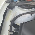 مجتبی وحدانی