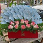 گلسرای سیامک
