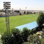 زمین چمن