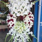 گلسرای سیامک