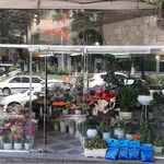 سوپر گل یاس