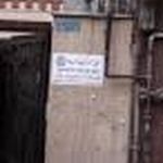 نیلوفر عرب براقی