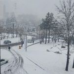 بوستان شیدای اصفهانی جنوبی