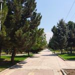 بوستان مرجان