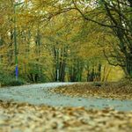 پارک جنگلی سراوان