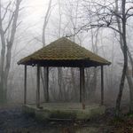 پارک جنگلی سراوان