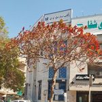 بانک صادرات شعبه سنگی