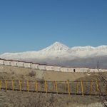 مزرعه خورشید