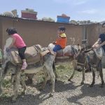 مزرعه خورشید