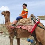 مزرعه خورشید