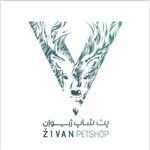 فروشگاه ژیوان