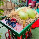 اموزشگاه موسیقی سيمرغ