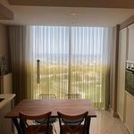 گالری پرده پرنیان (عامریان)