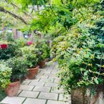 اموزشگاه موسیقی سيمرغ