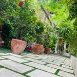 اموزشگاه موسیقی سيمرغ