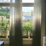 گالری پرده پرنیان (عامریان)