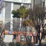 بانک صادرات  ملاصدرا (بیمه معلم)