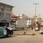 شیرینی همیشه بهار