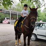 کافه رستوران چهل گیس سیسنگان