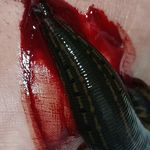 طب سنتی لایف