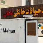کلینیک حیوانات خانگی ماهان