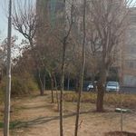 بوستان مدائن