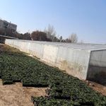 گلخانه شهرداری منطقه هفت