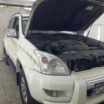 کارشناسی و تشخیص رنگ پرشین