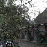 رستوران کلبه