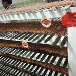 کافه مژگانی