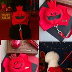 پت شاپ سزار